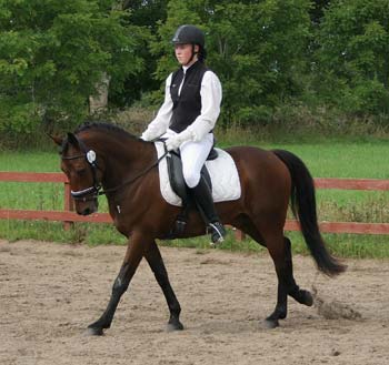 Marina och Cabrolet rider fram inför Elitdressyr på Olsegården.