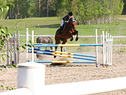 Sandra Gustafsson - TopSelect i Hofors under banhoppning i  två-stjärnig fälttävlan