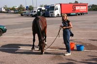 1IMG_0053