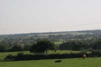1IMG_0082