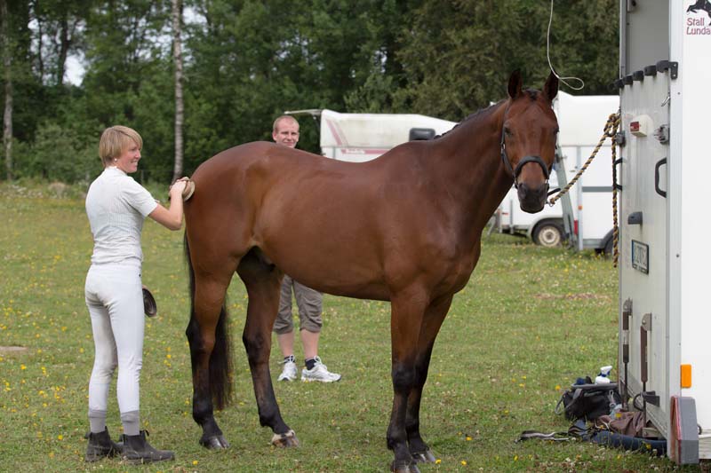 604--2609-Blandat