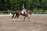 403-2533-Sandra o Koordinat