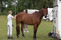 604--2609-Blandat