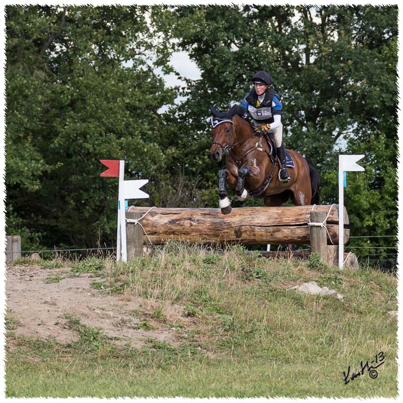 03-613-1308-SaG4408-SM-CC