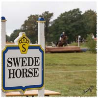 1309-6011-X2-CC-SwedeHorse