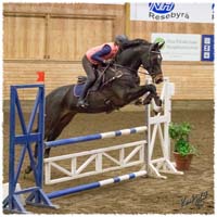 1401-9655-SaG-Zorro