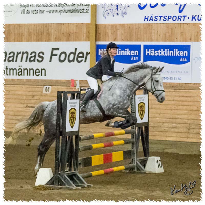 1402-0854-KRK-HeG-SaG
