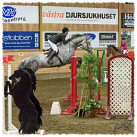 1402-0856-KRK-HeG-SaG