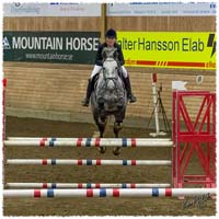 1402-0886-KRK-HeG-SaG