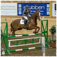 1402-0942-KRK-HeG-SaG