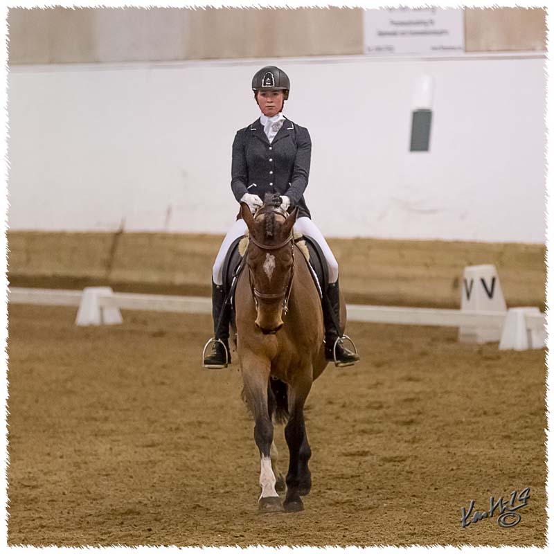 1403-3009-DR-NHRK-SaG-Nisse