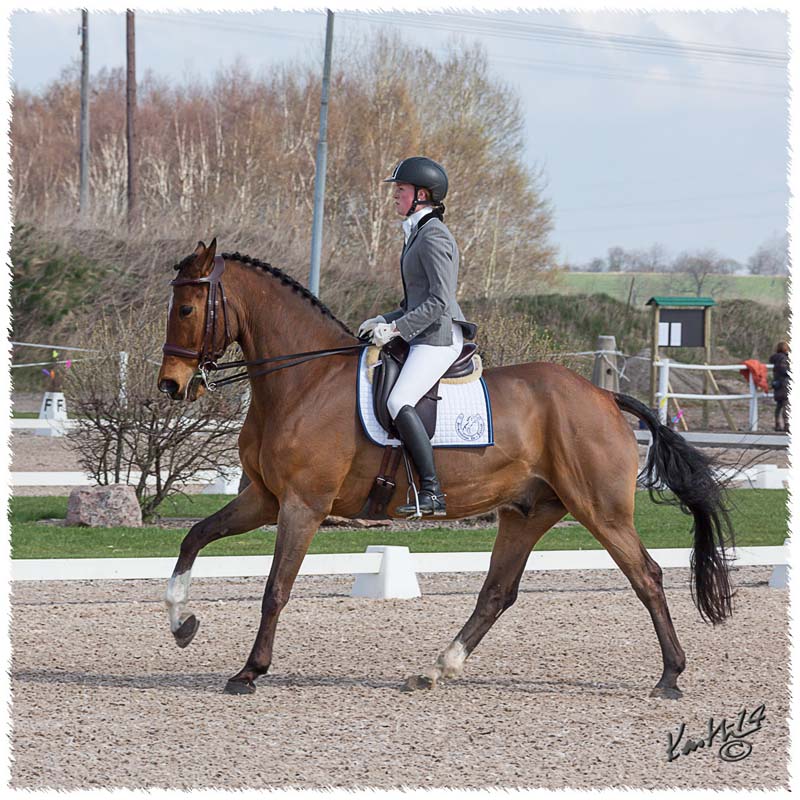 1404-4122-SaG-MsvB3-Nisse