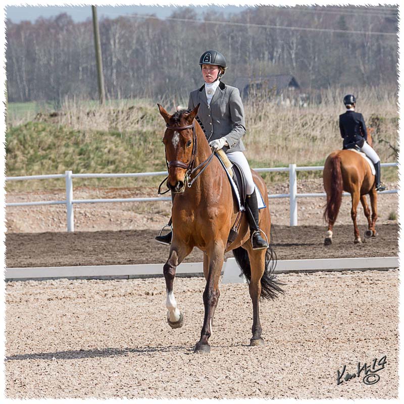 1404-4158-SaG-MsvB3-Nisse