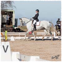 1404-3445-SoD-MsvC2