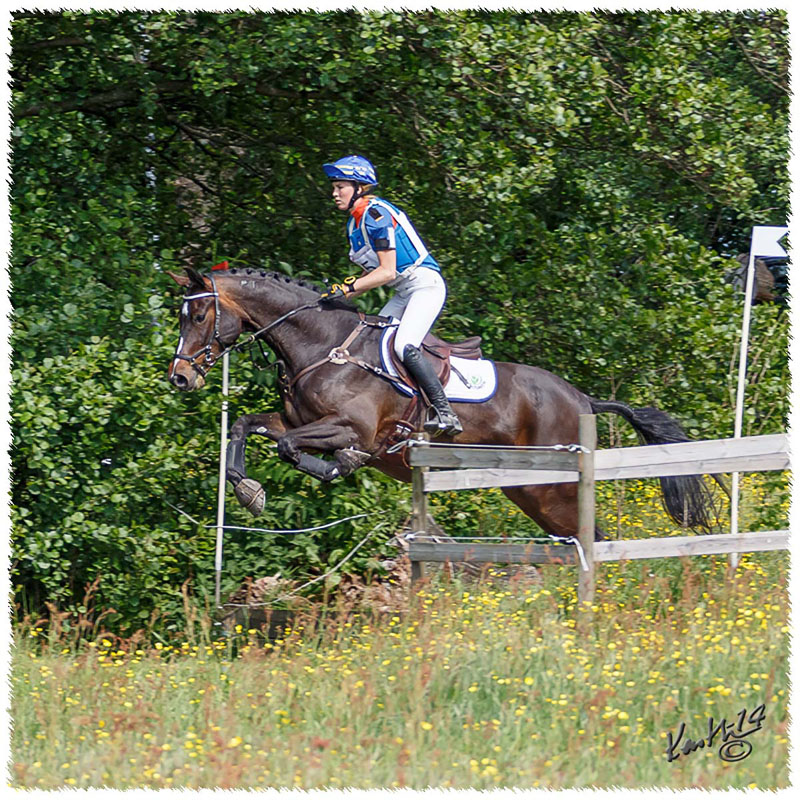 1406-8928-afrk-cc-SaG-Zorro