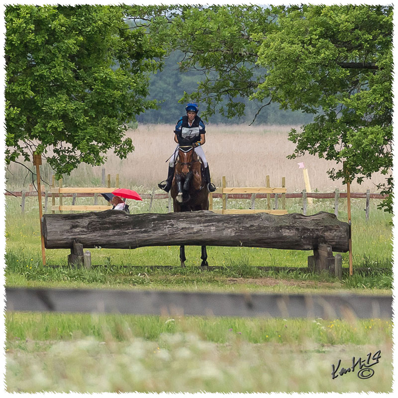 01-1406-0619-SaG-Nisse-CC
