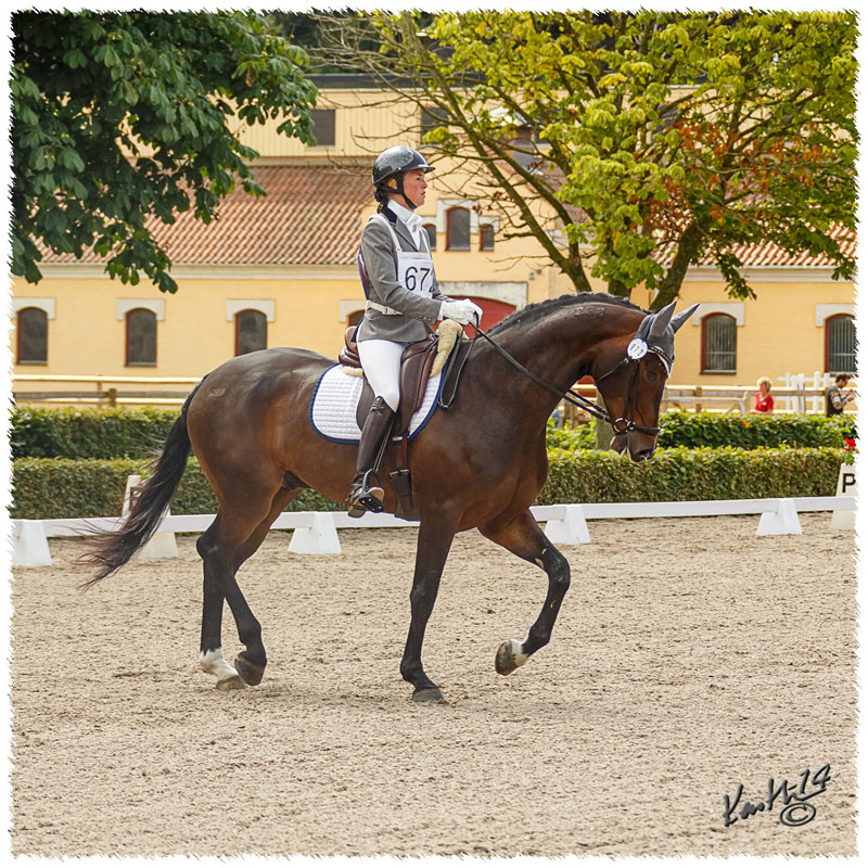 1406-2a-2028-Zorro-DR