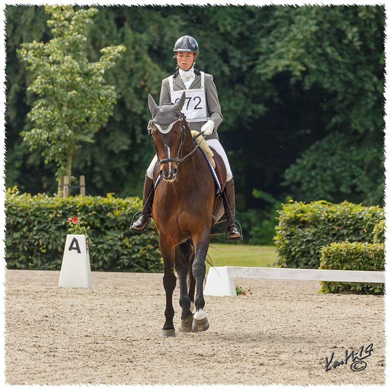 1406-2a-2035-Zorro-DR