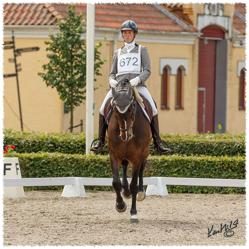 1406-2a-2068-Zorro-DR