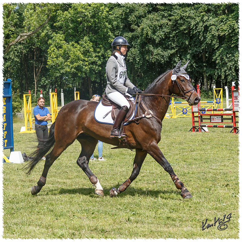 1406-2b-2181-Zorro-SJ