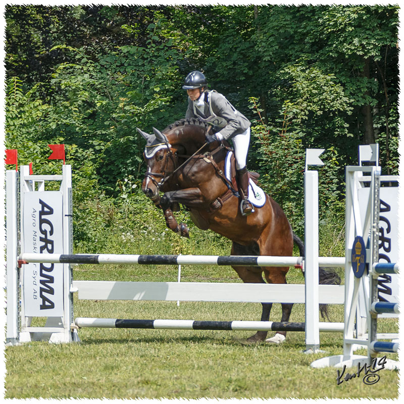 1406-2b-2188-Zorro-SJ