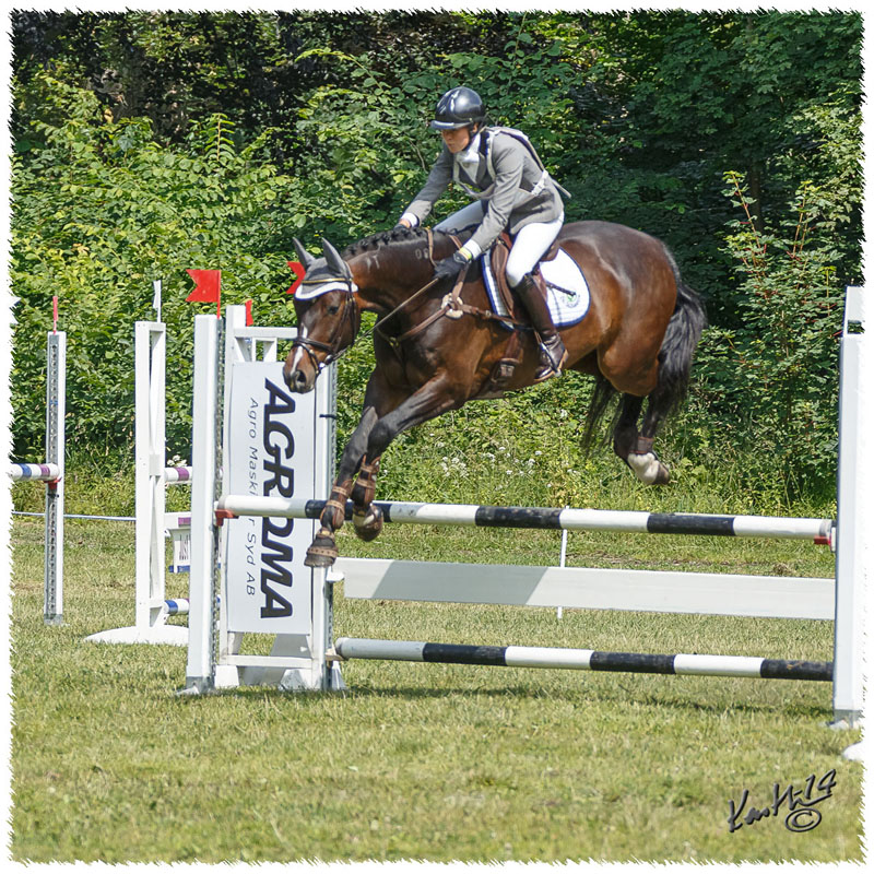 1406-2b-2190-Zorro-SJ