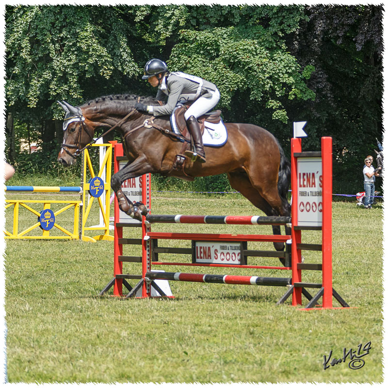 1406-2b-2195-Zorro-SJ
