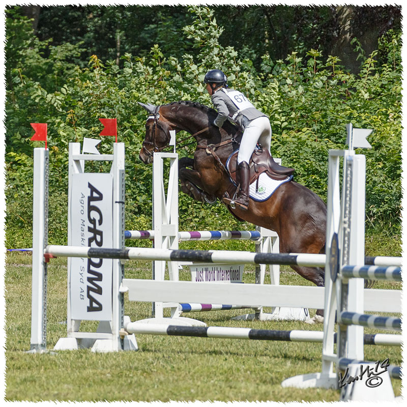1406-2b-2205-Zorro-SJ