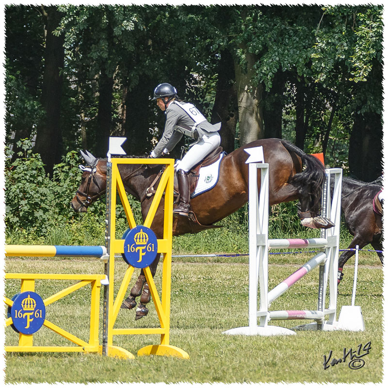 1406-2b-2212-Zorro-SJ