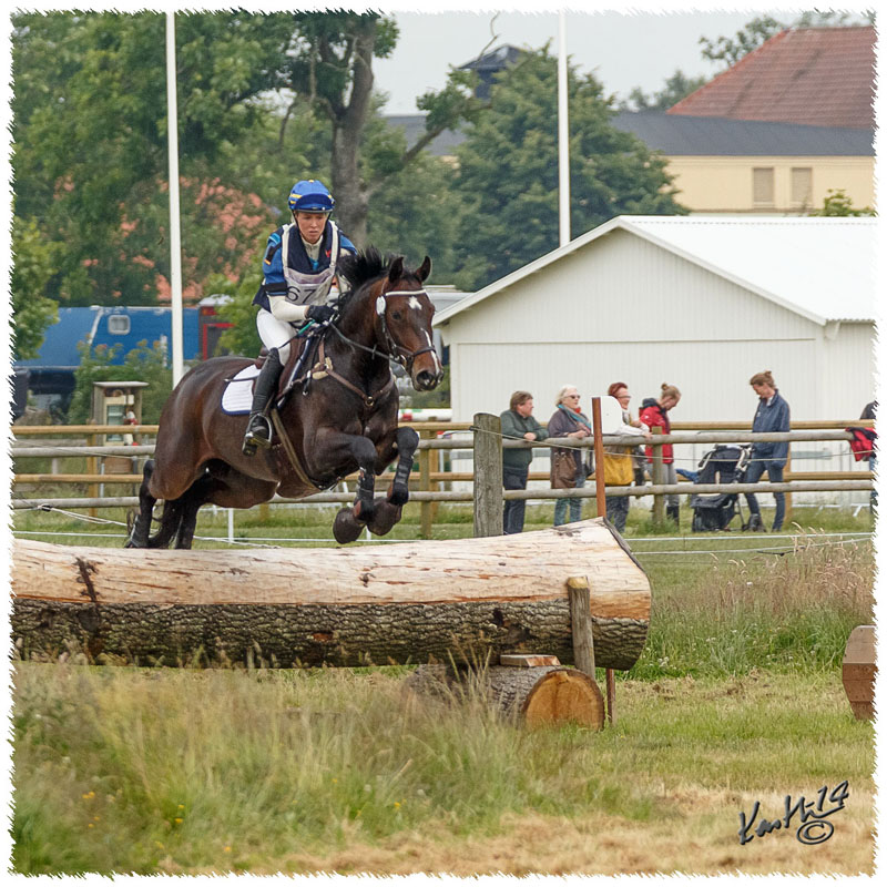 1406-2c-2451-Zorro-CC