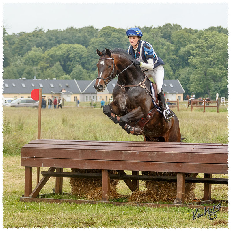 1406-2c-2464-Zorro-CC