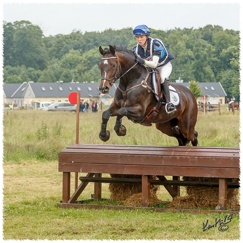 1406-2c-2465-Zorro-CC