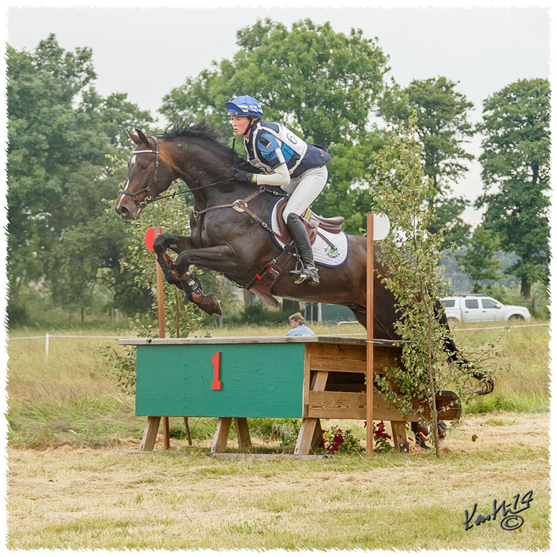 1406-2c-2482-Zorro-CC
