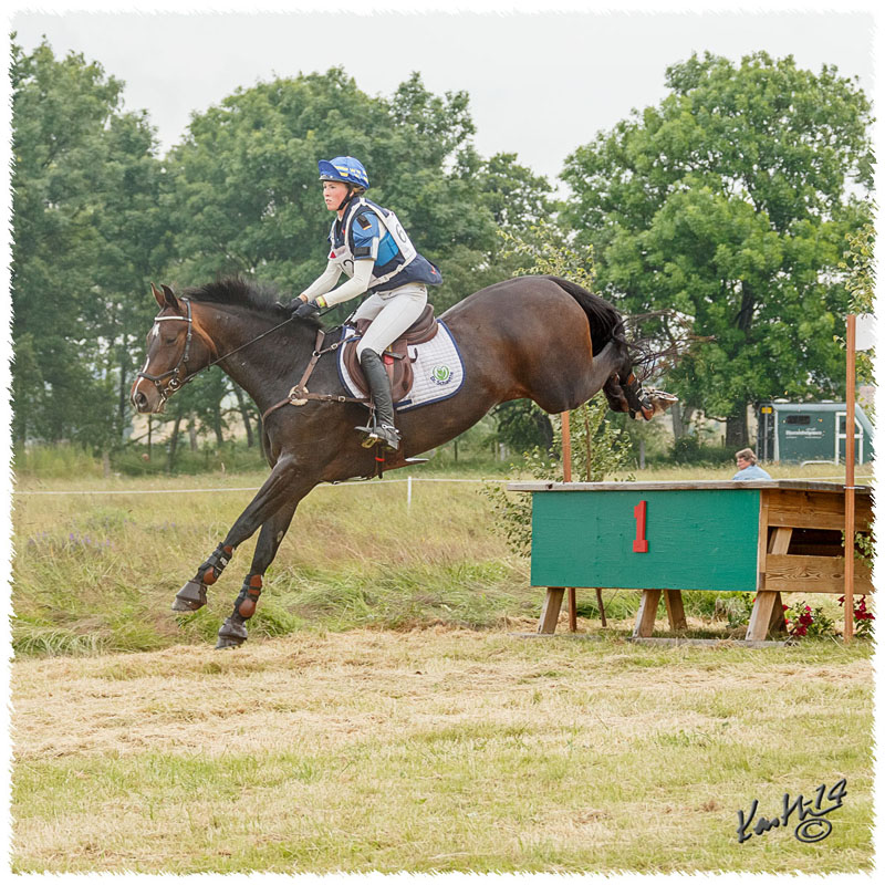 1406-2c-2484-Zorro-CC
