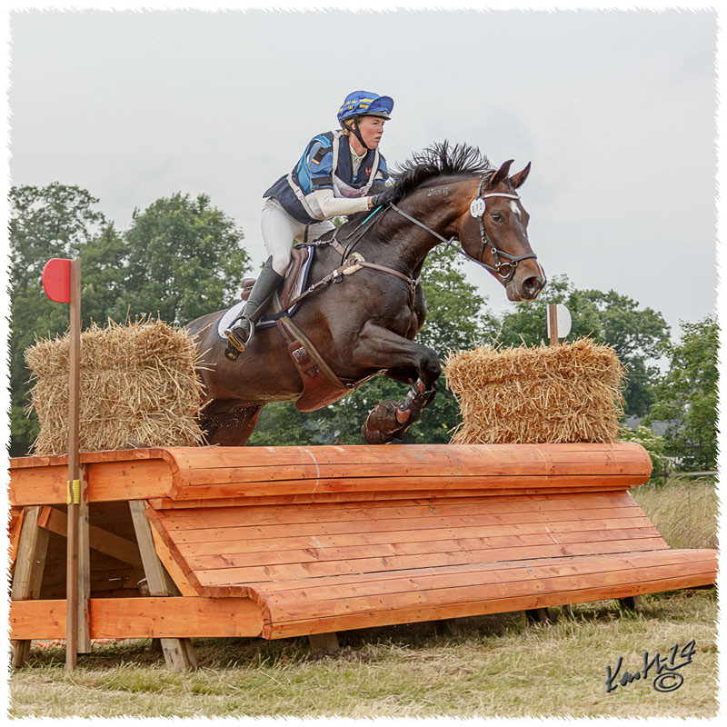1406-2c-2499-Zorro-CC