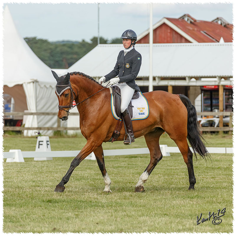 1406-3a-2311-Nisse-DR