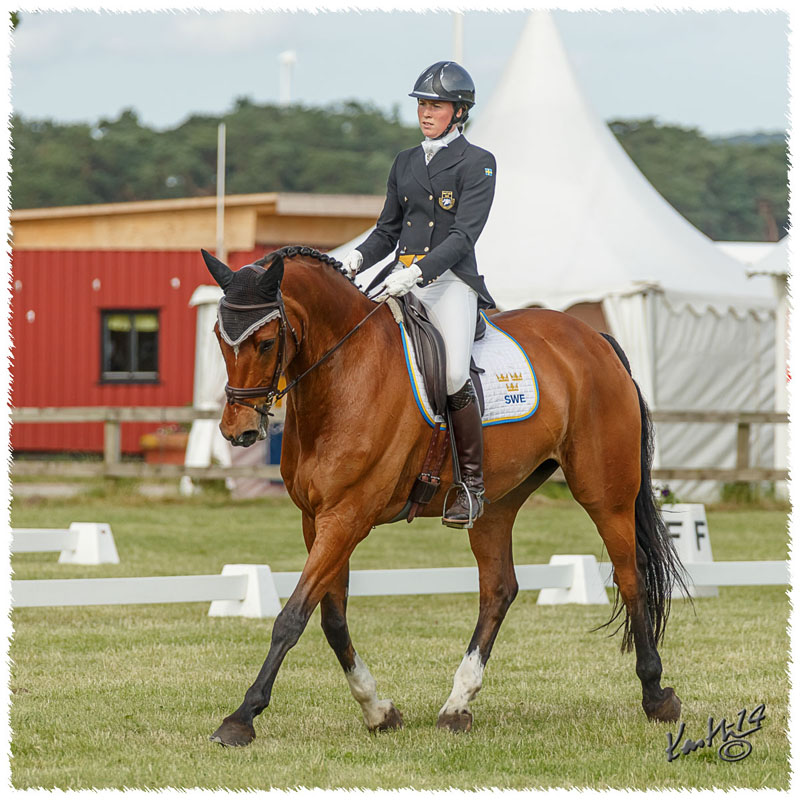 1406-3a-2316-Nisse-DR