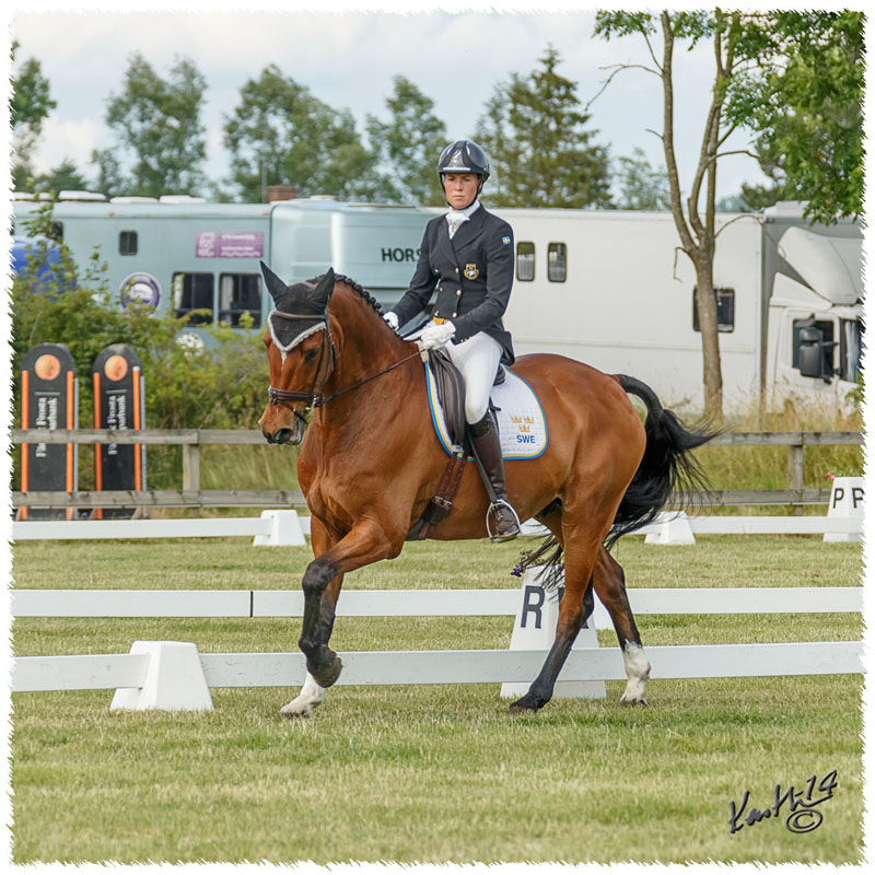 1406-3a-2330-Nisse-DR