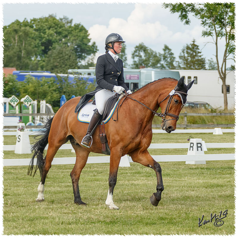 1406-3a-2339-Nisse-DR