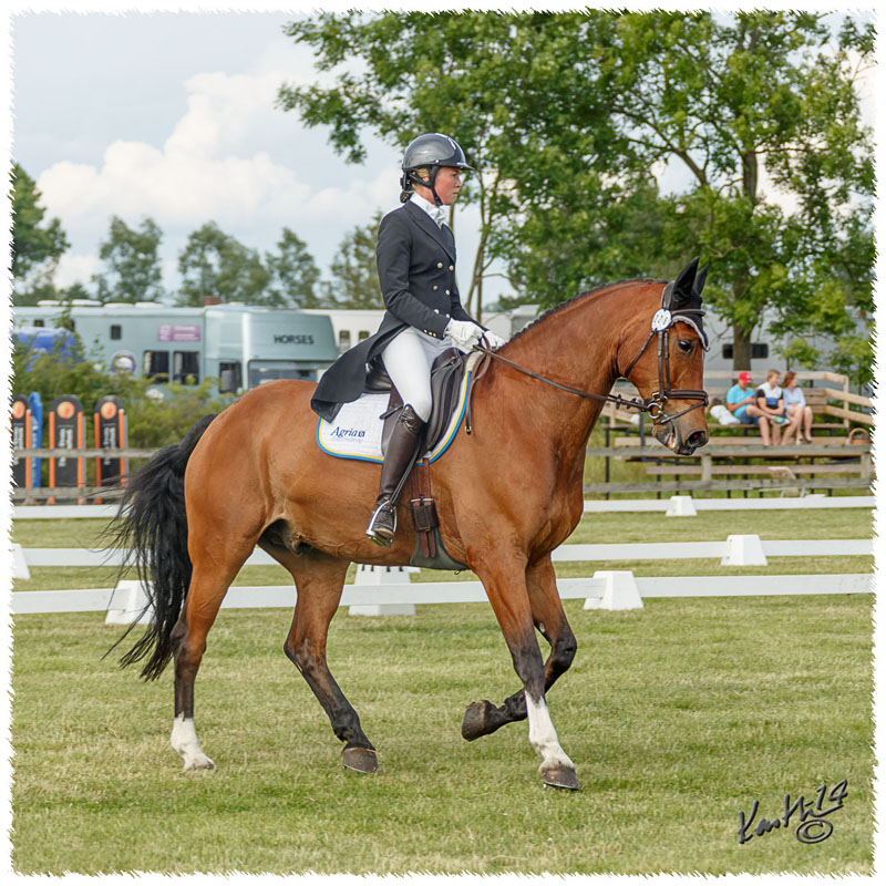 1406-3a-2342-Nisse-DR
