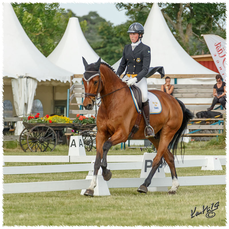 1406-3a-2382-Nisse-DR