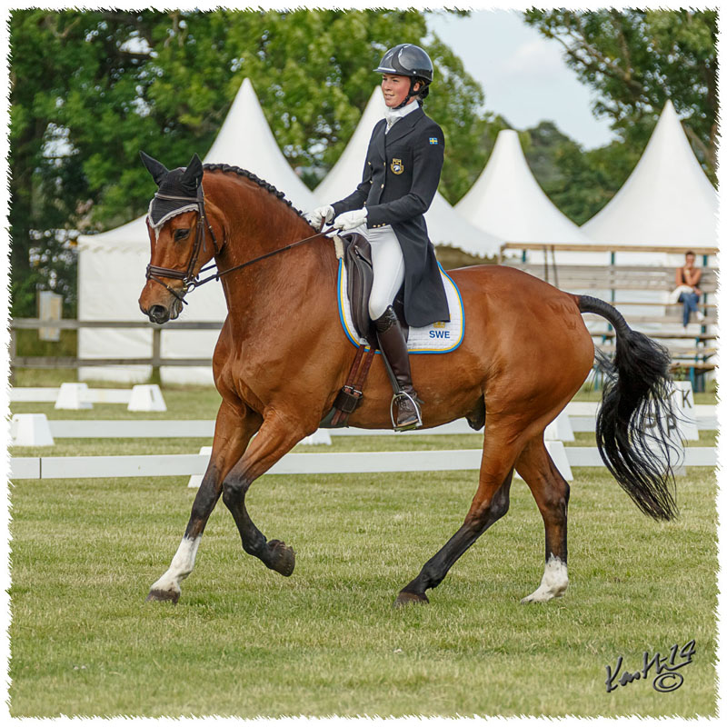 1406-3a-2397-Nisse-DR