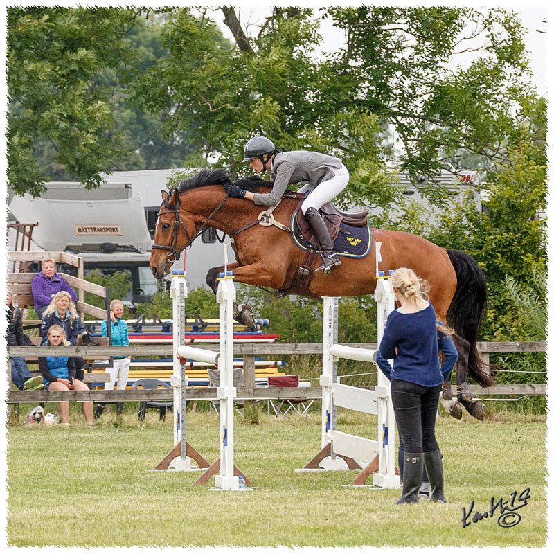 1406-3b-2570-Nisse-SJ