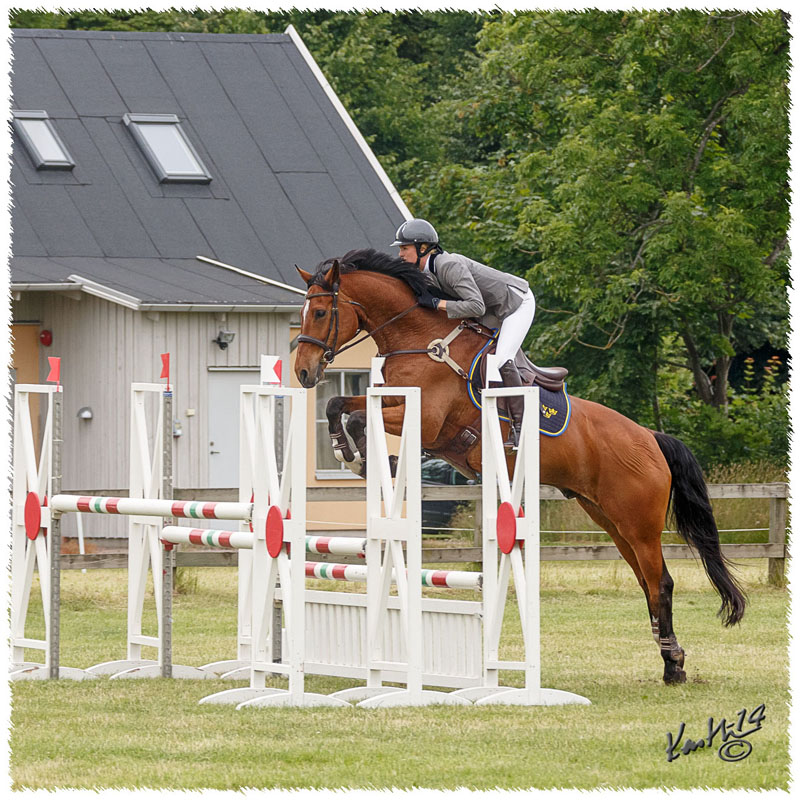 1406-3b-2576-Nisse-SJ