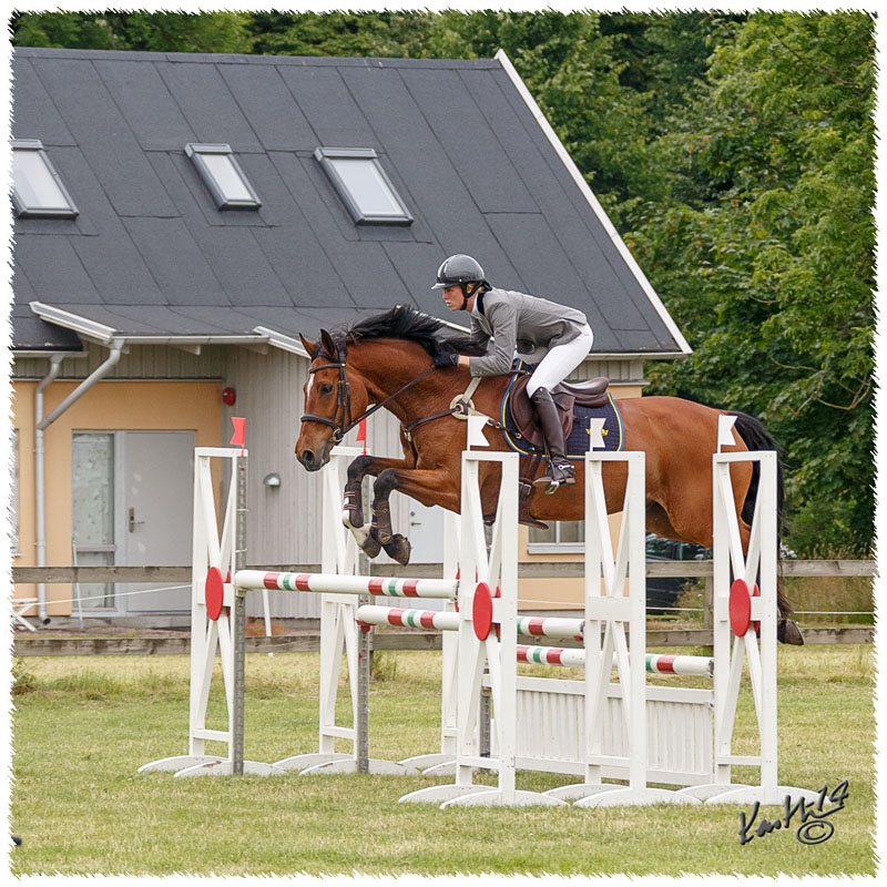 1406-3b-2577-Nisse-SJ