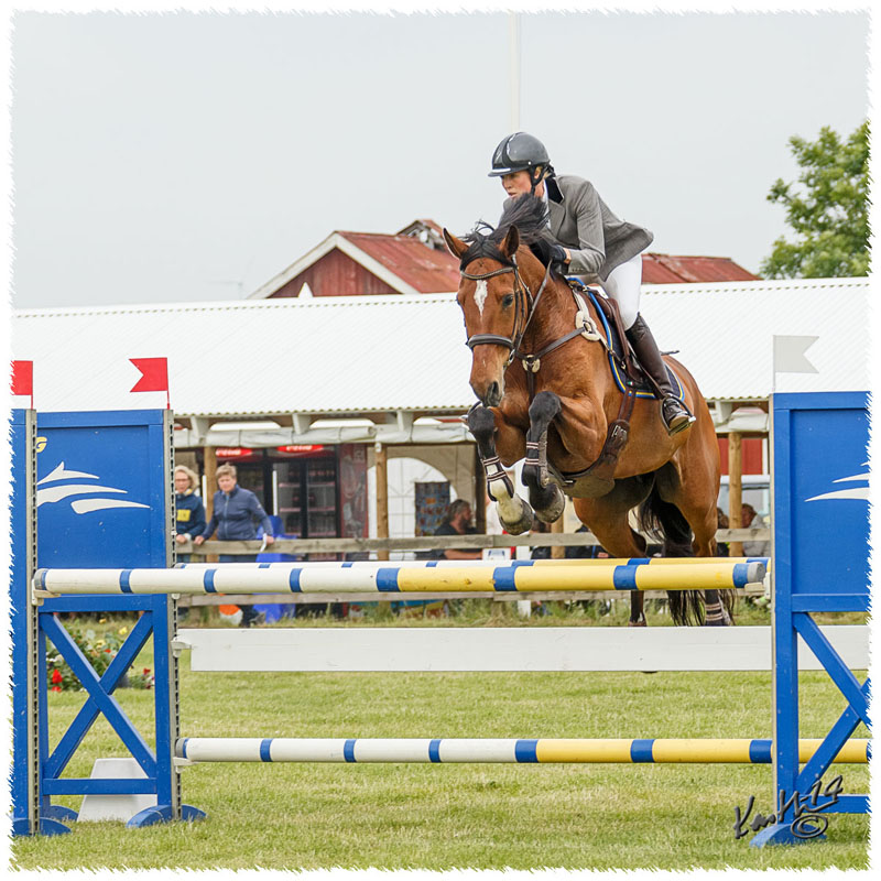 1406-3b-2603-Nisse-SJ