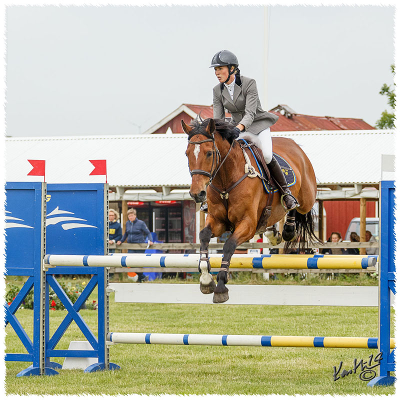 1406-3b-2604-Nisse-SJ