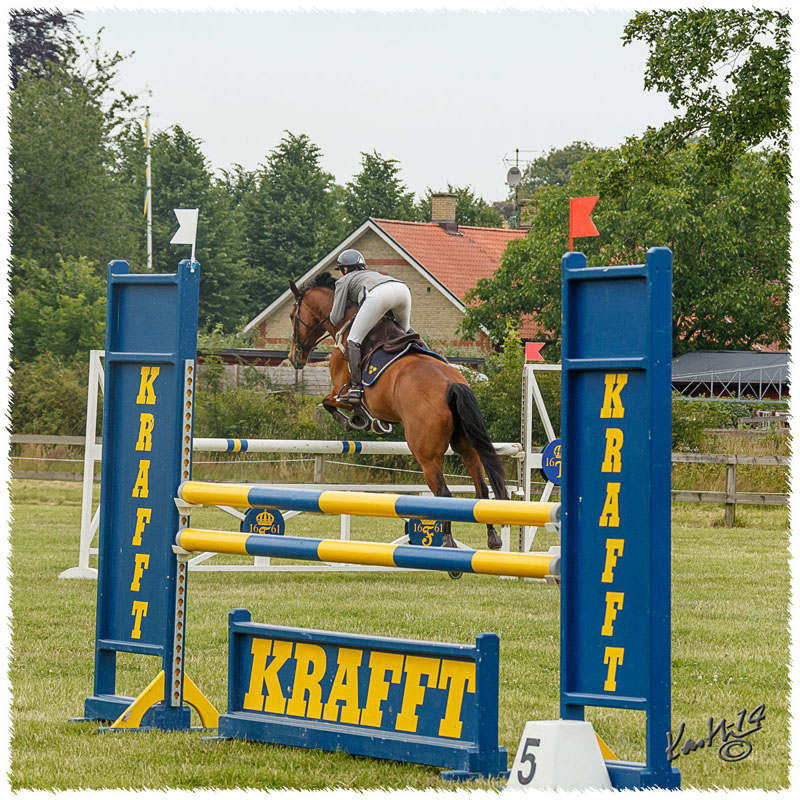 1406-3b-2618-Nisse-SJ