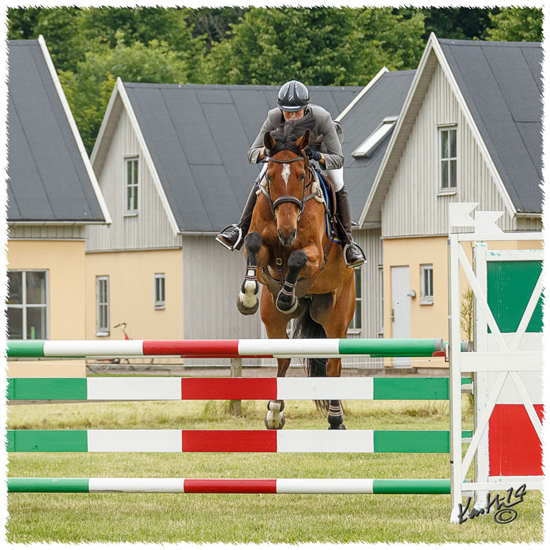 1406-3b-2623-Nisse-SJ
