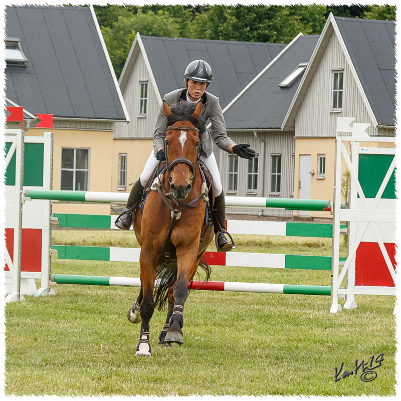 1406-3b-2631-Nisse-SJ